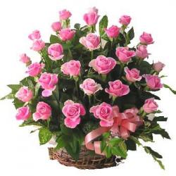 30 Pink Roses In Basket